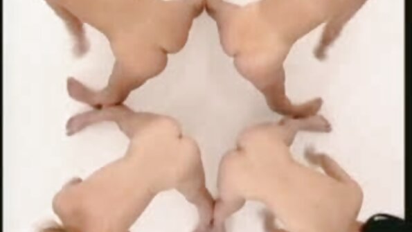 جوجه شاخی به سکس جوردی جدید آنچه می خواست رسید